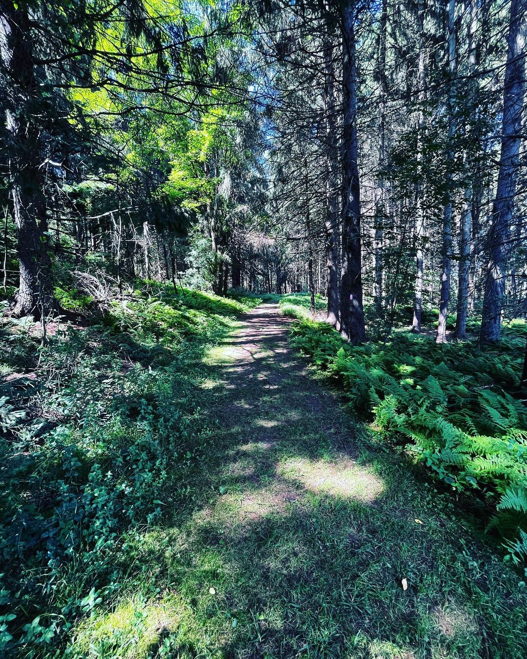 New Germany State Park