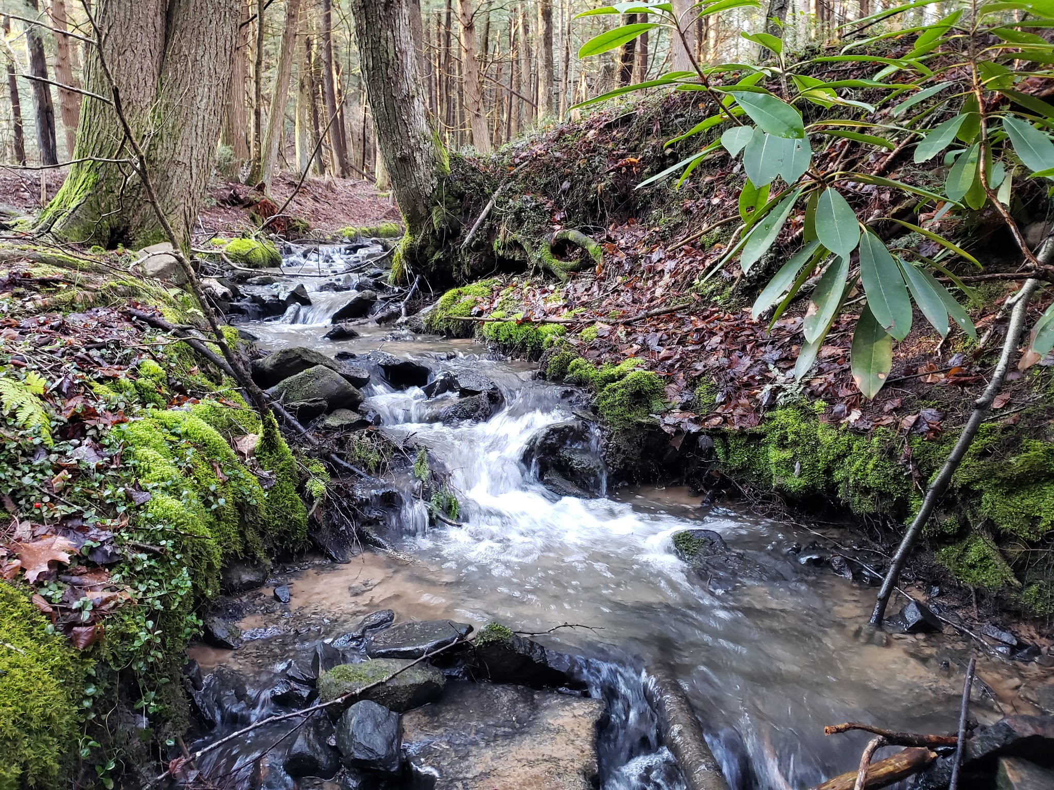 New Germany State Park