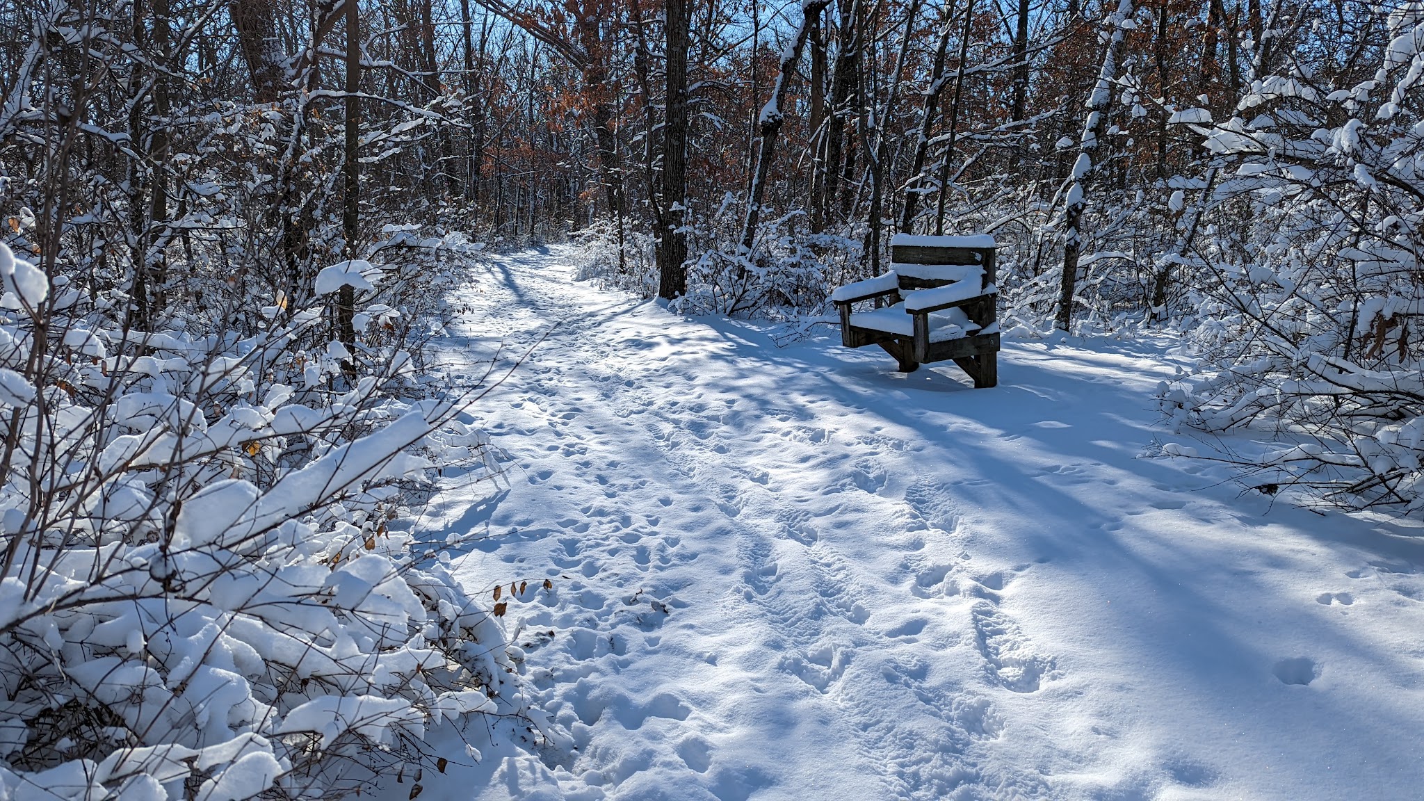 New Glarus Woods State Park