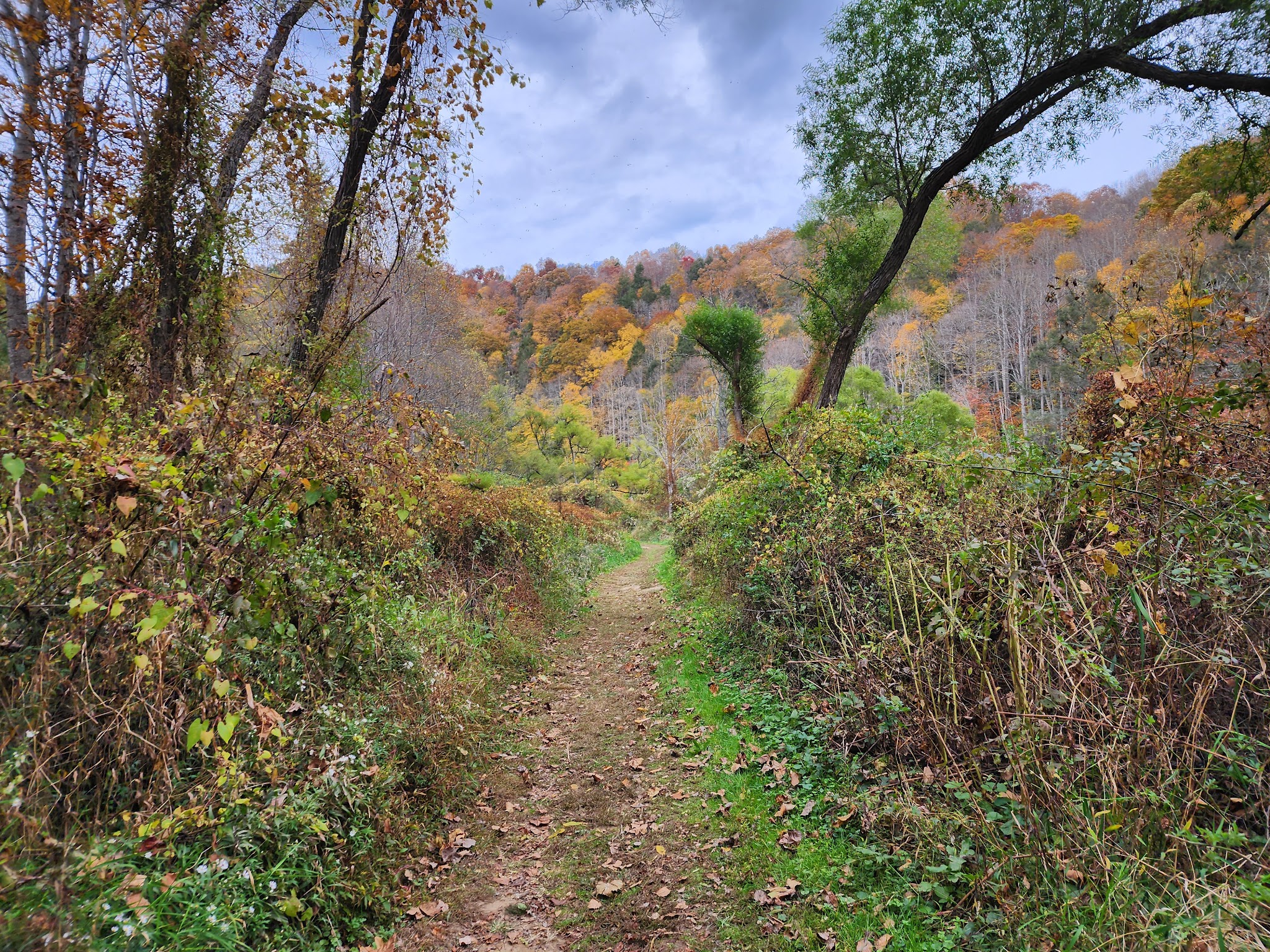 New River State Park