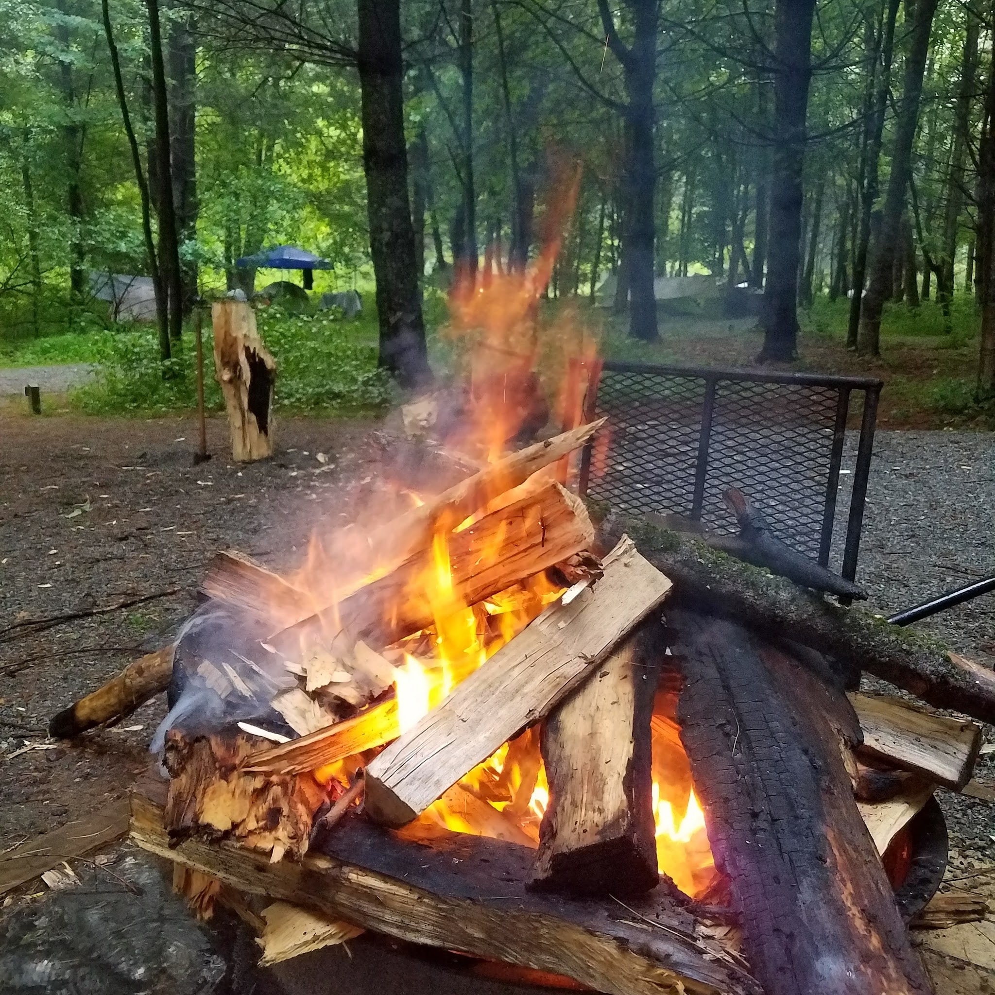 New River State Park