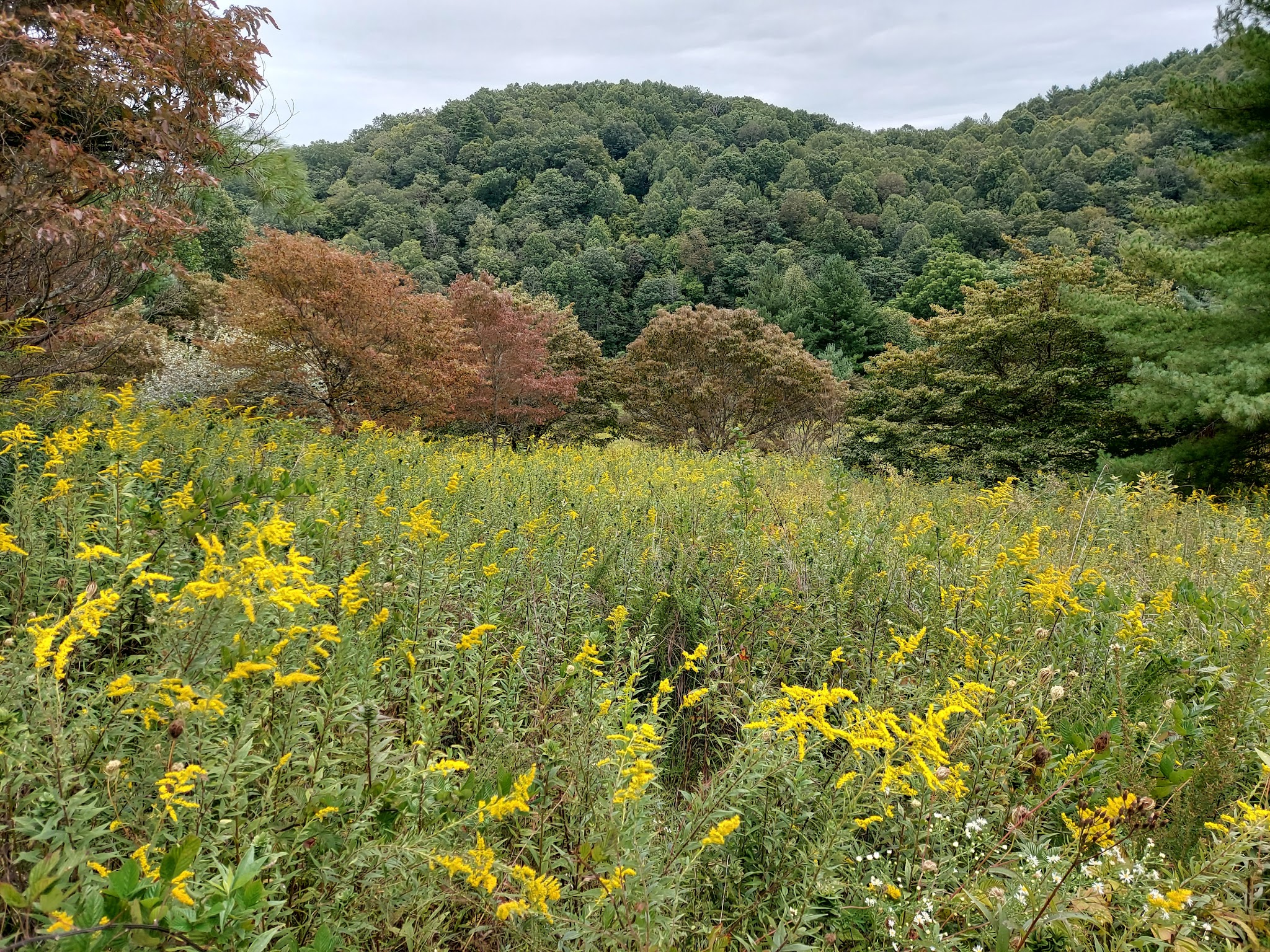 New River State Park