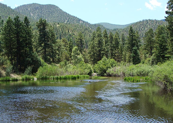 Cimarron Canyon