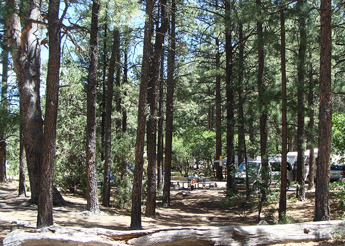 Cimarron Canyon