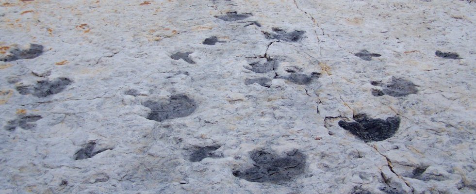 Clayton Lake State Park And Dinosaur Trackways