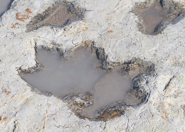 Clayton Lake State Park And Dinosaur Trackways