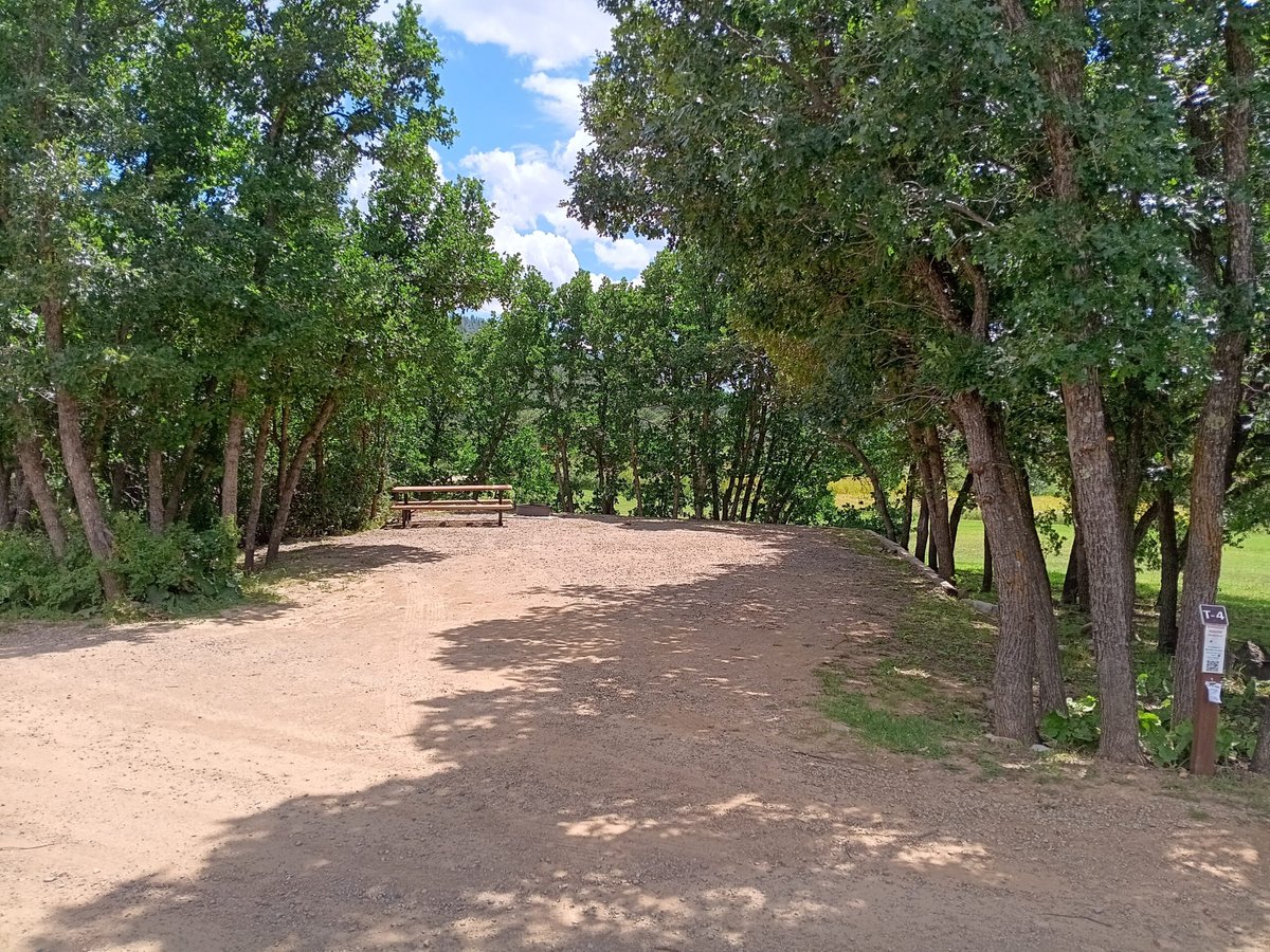 Coyote Creek