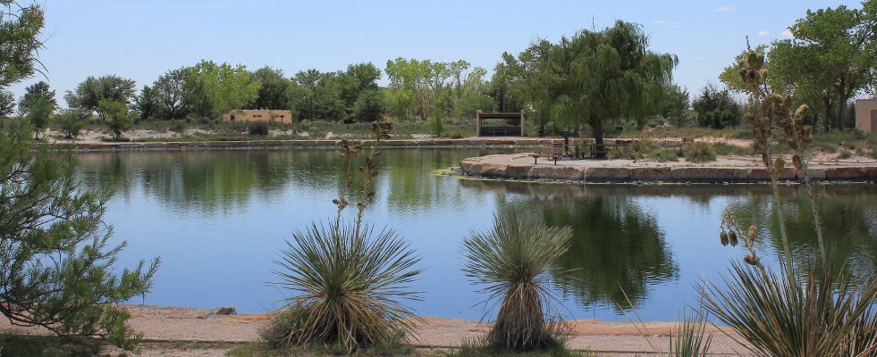 Oasis