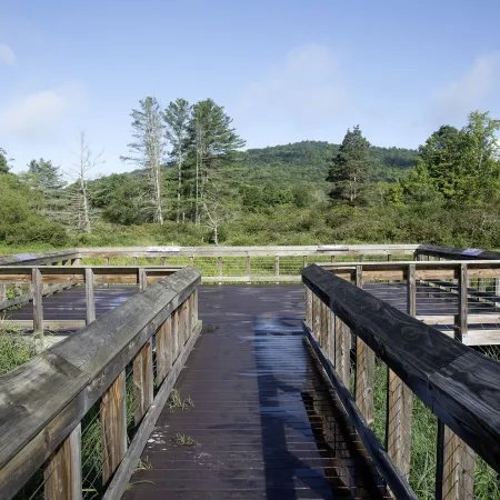 Allegany State Park
