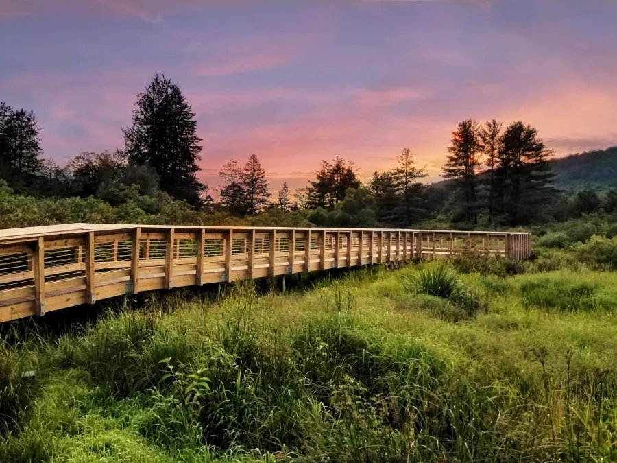Allegany State Park