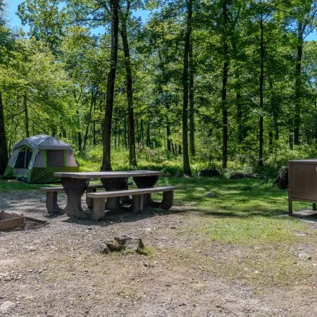 Fish Creek Pond Campground
