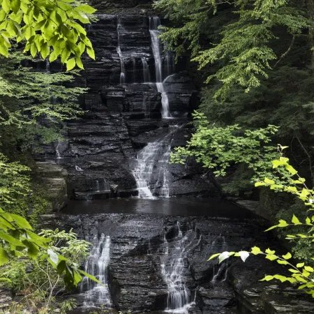 Fillmore Glen State Park