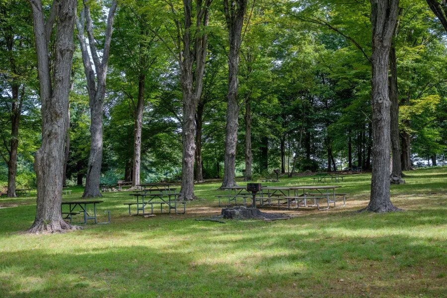 Franklin D. Roosevelt State Park
