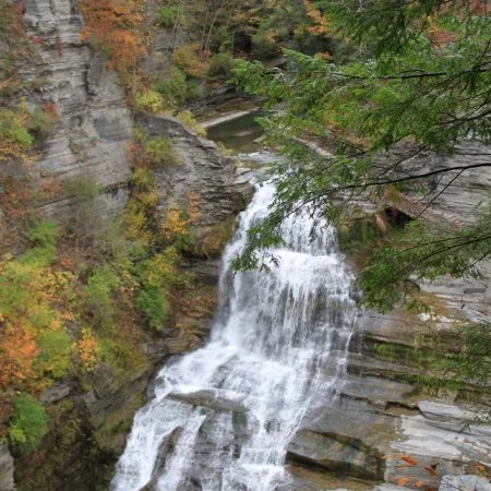 Robert H Treman State Park