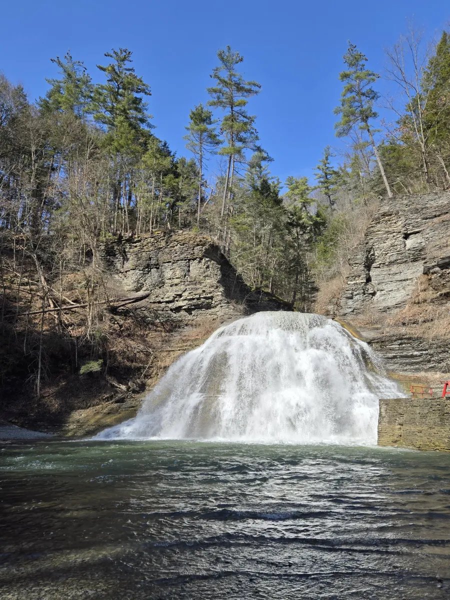 Robert H Treman State Park
