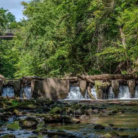Saratoga Spa State Park