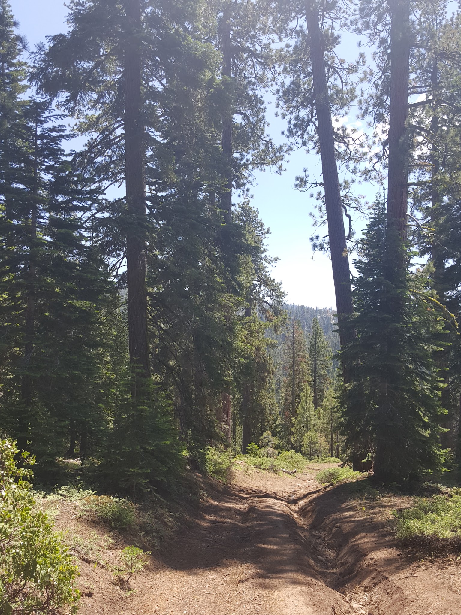 Niagara Creek Campground