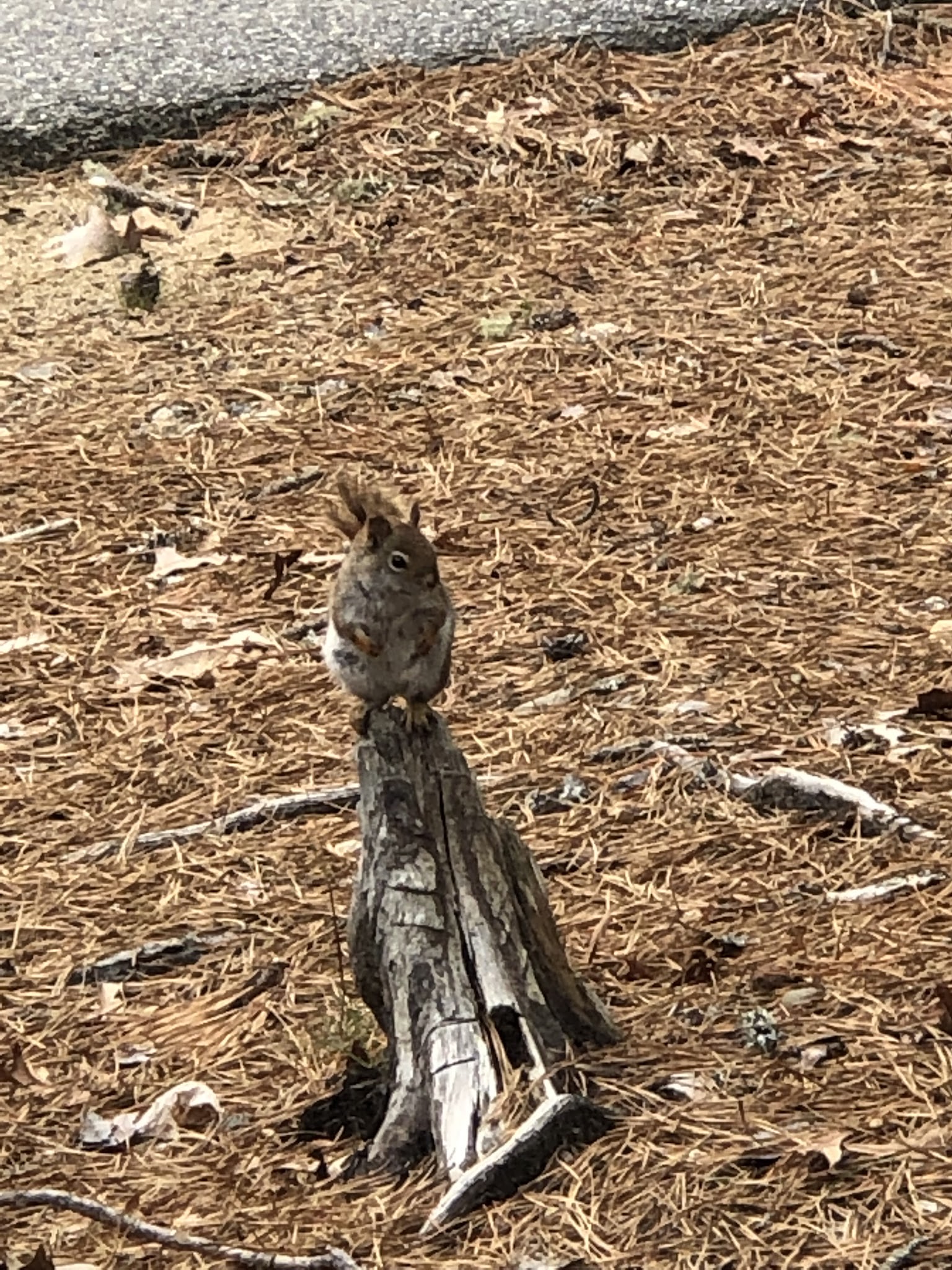 Nickerson State Park