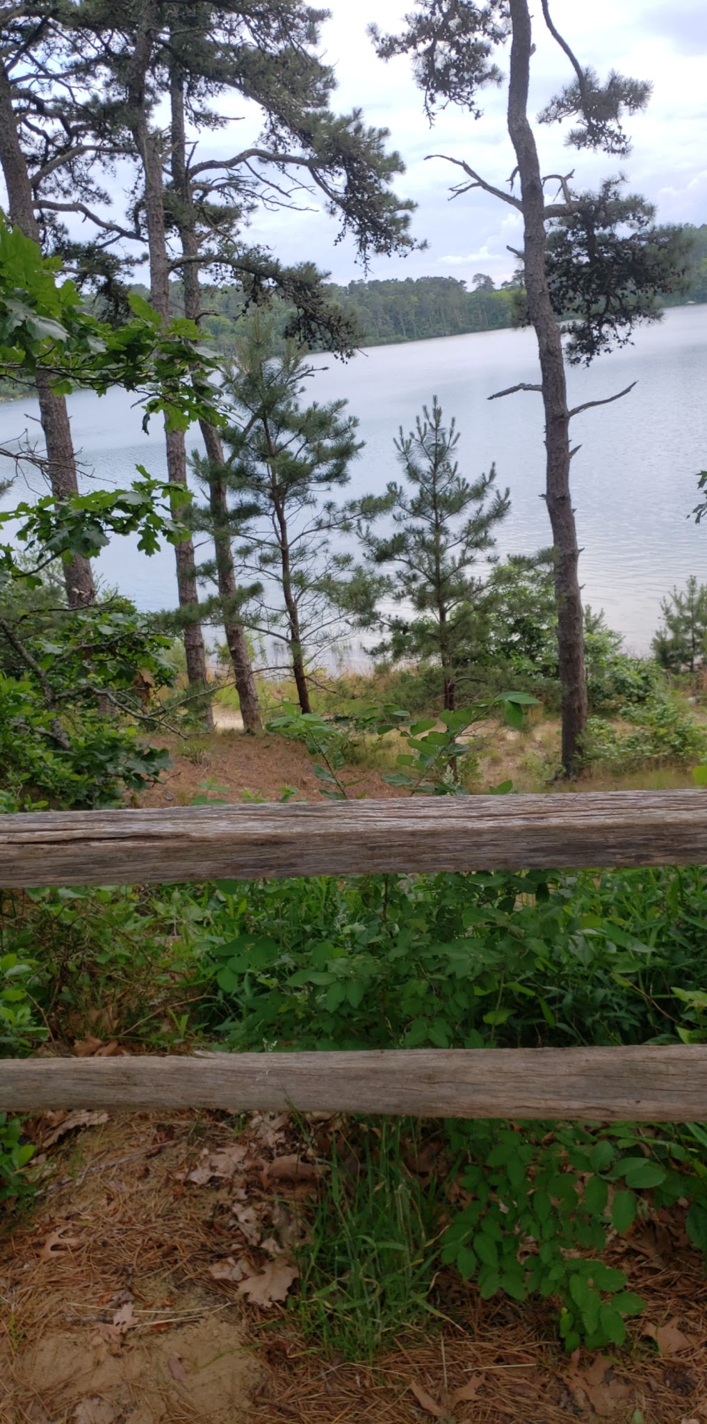 Nickerson State Park