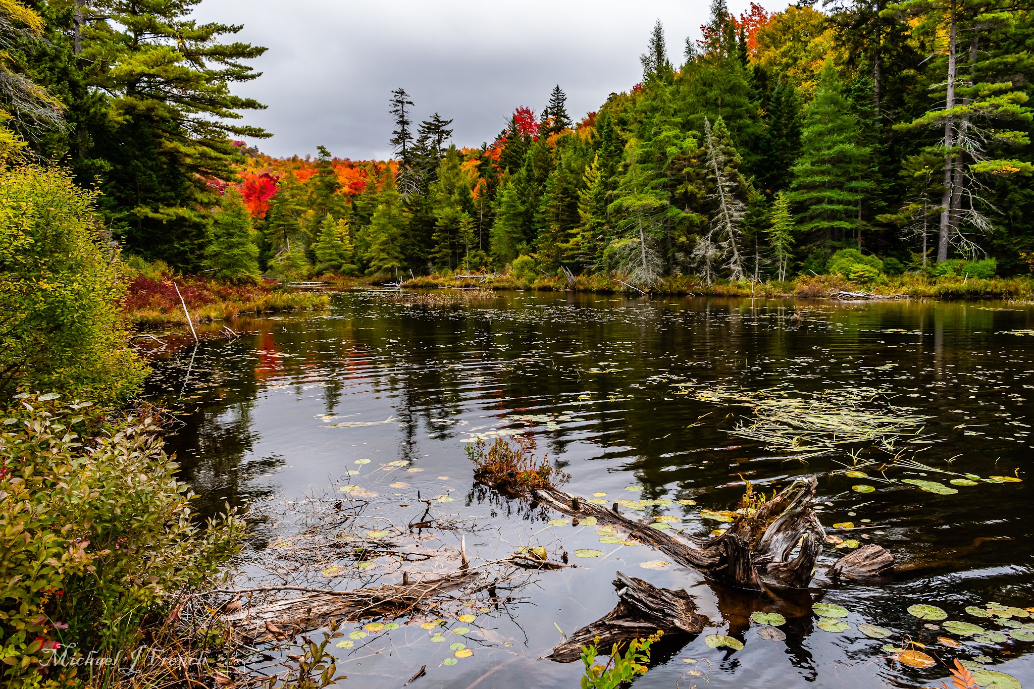 Nicks Lake Campground