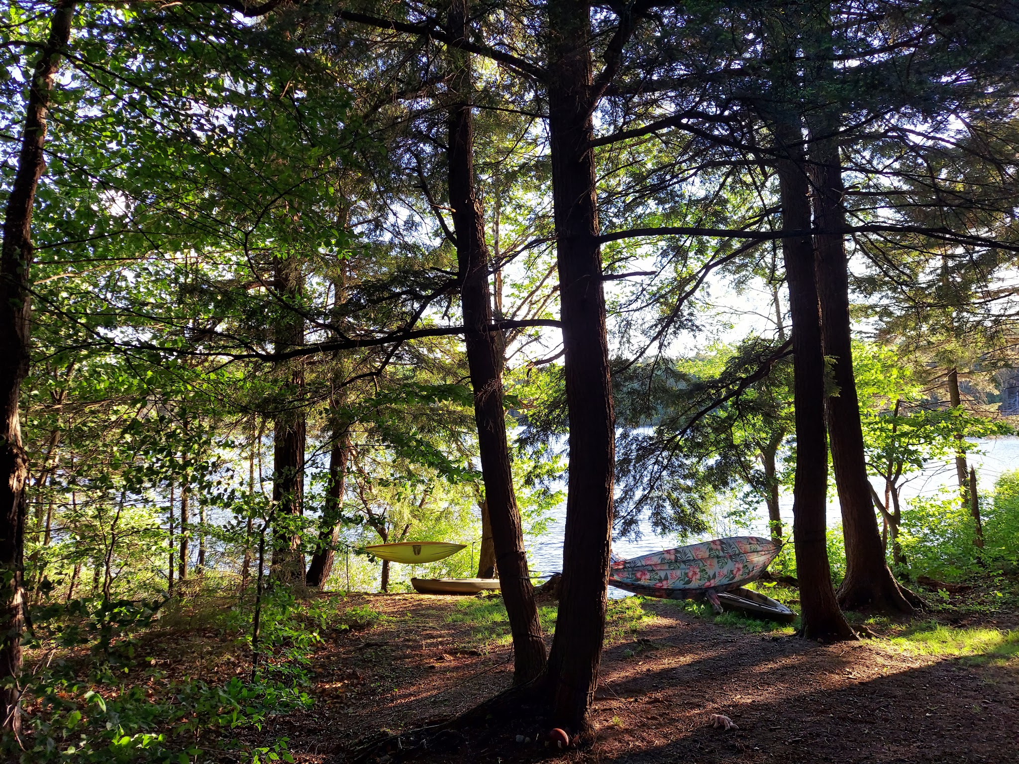 Nicks Lake Campground