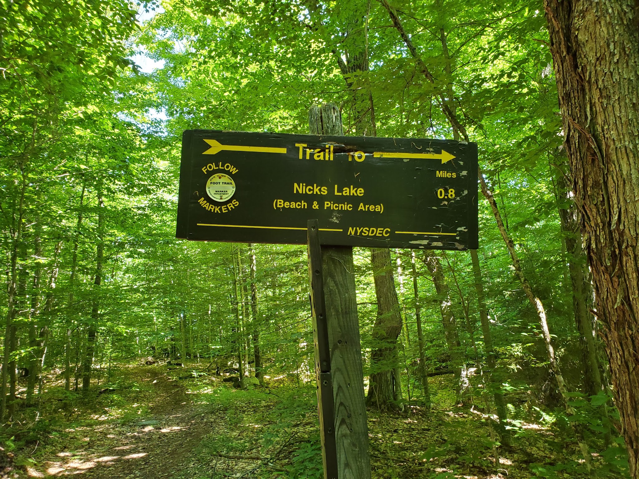 Nicks Lake Campground