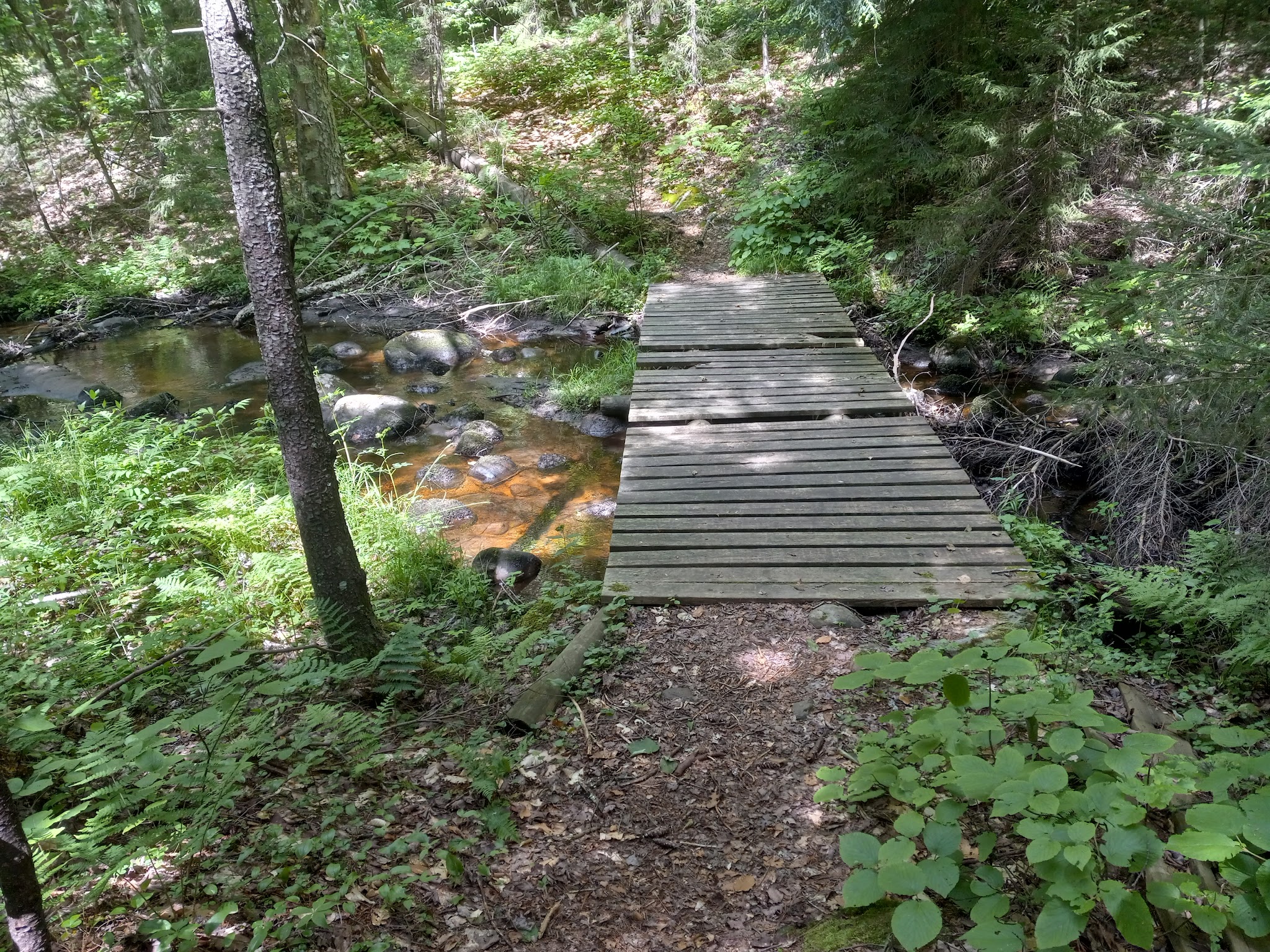 Nicks Lake Campground
