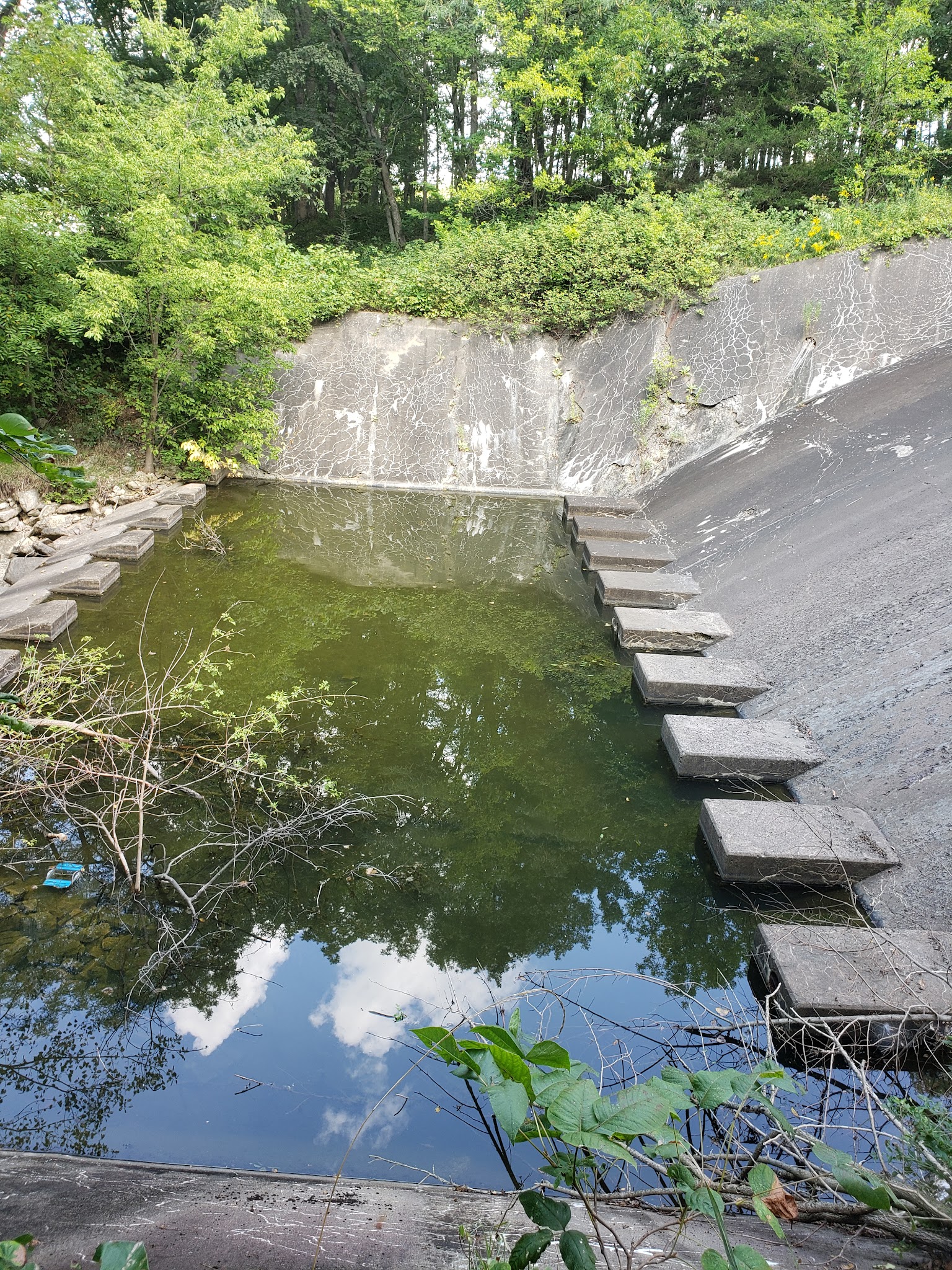 Nine Eagles State Park