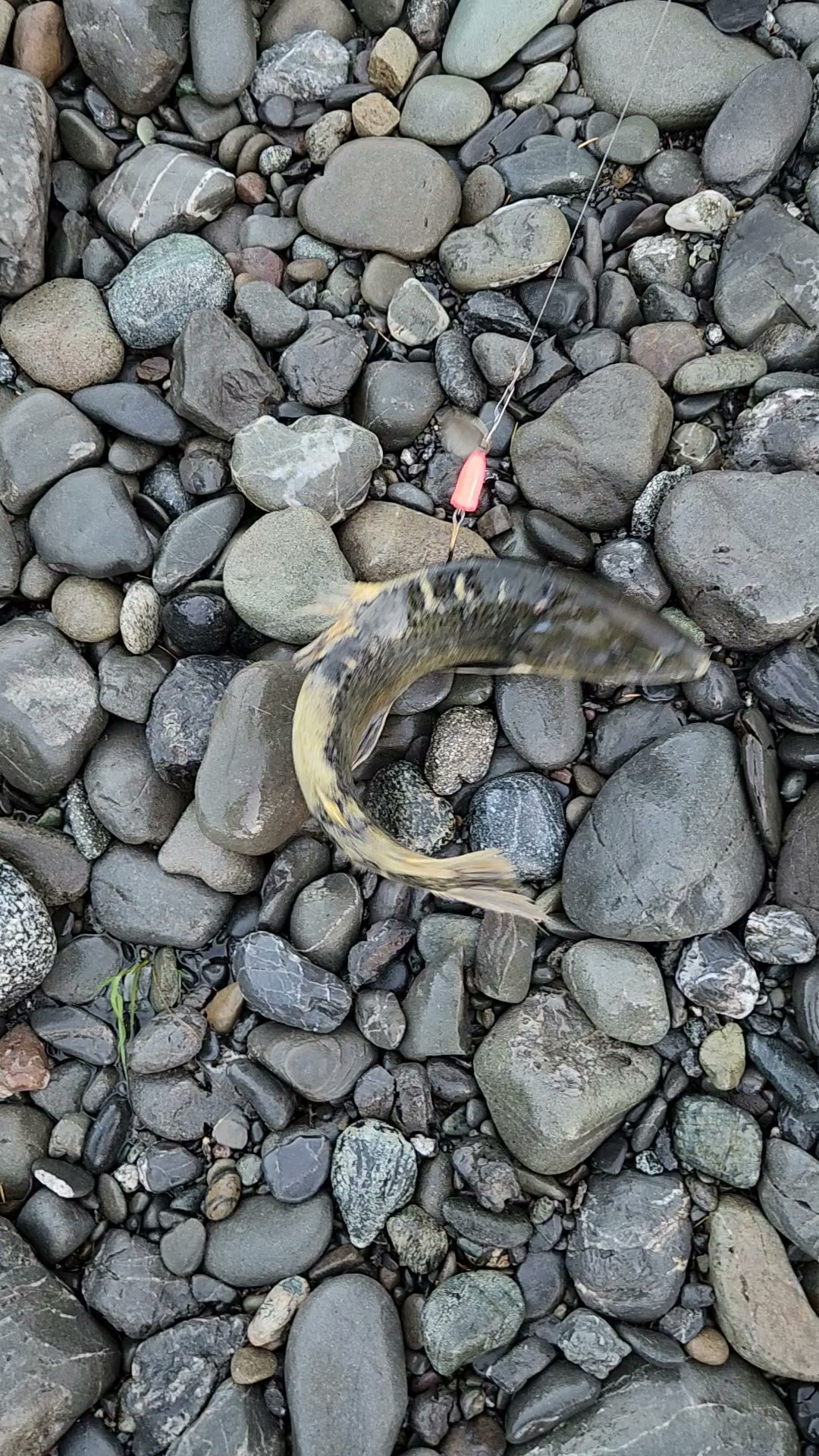 Nook Bar Camping And Day Use Area