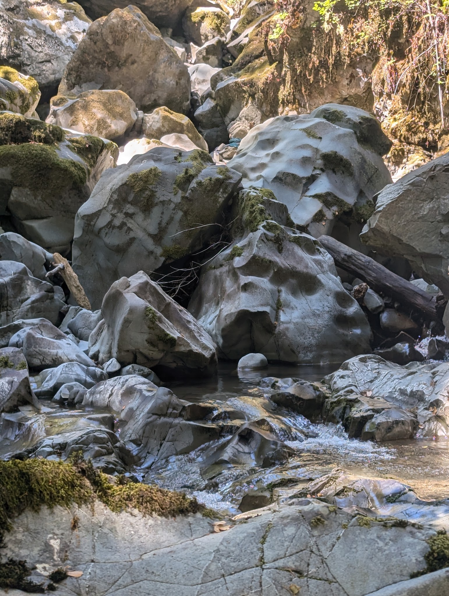 Nook Bar Camping And Day Use Area