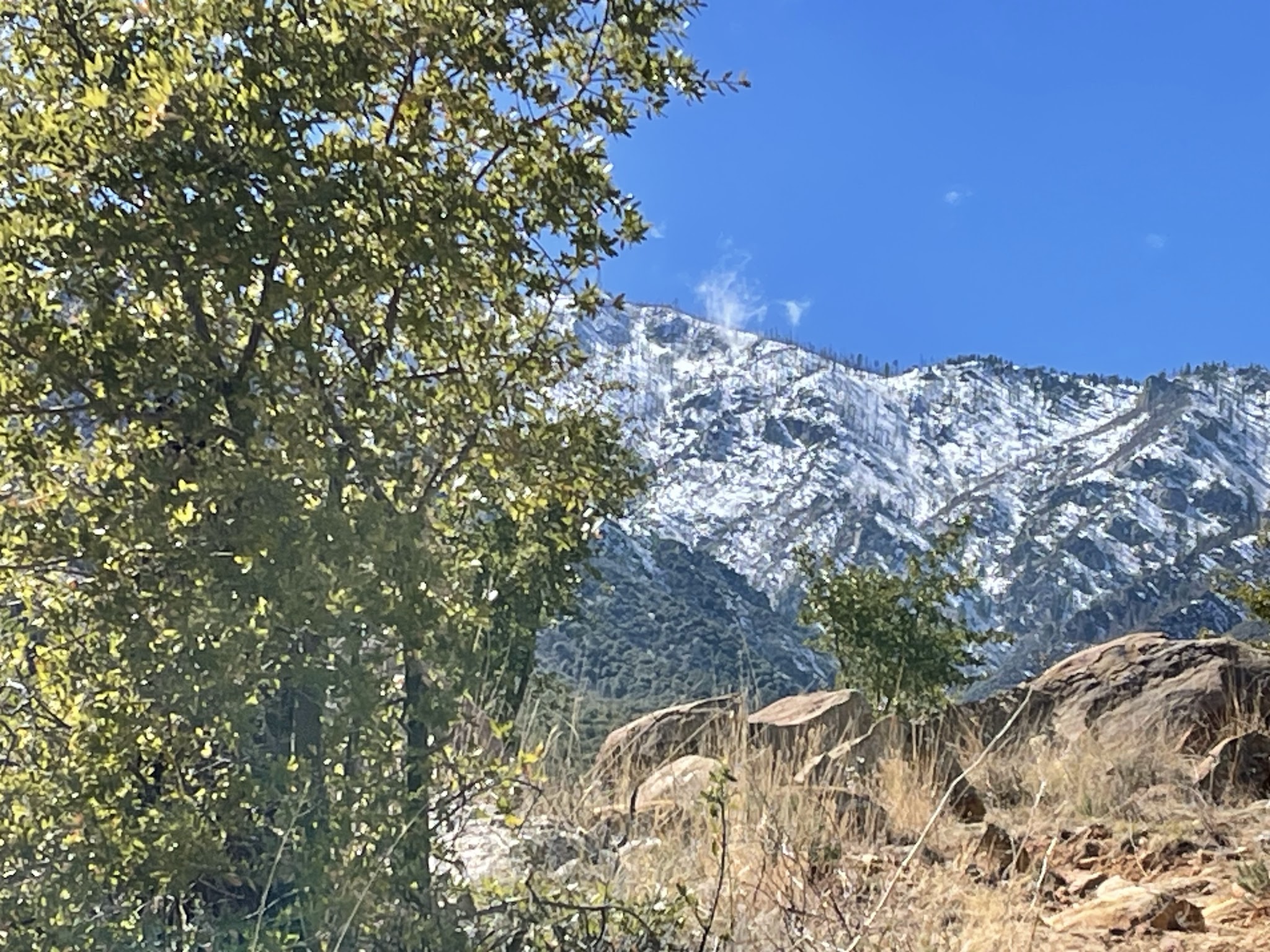 Noon Creek Campground And Picnic Area