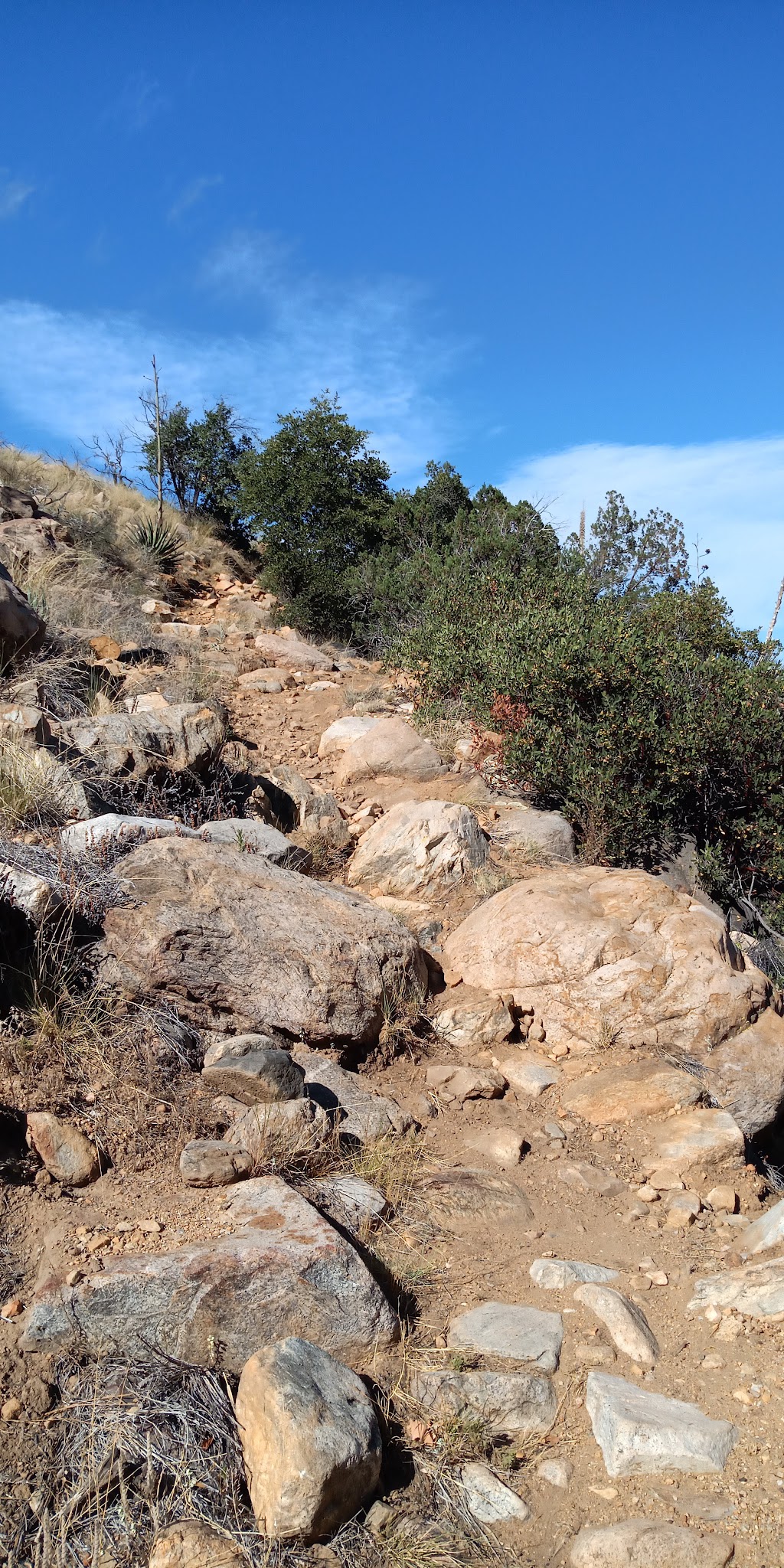 Noon Creek Campground And Picnic Area