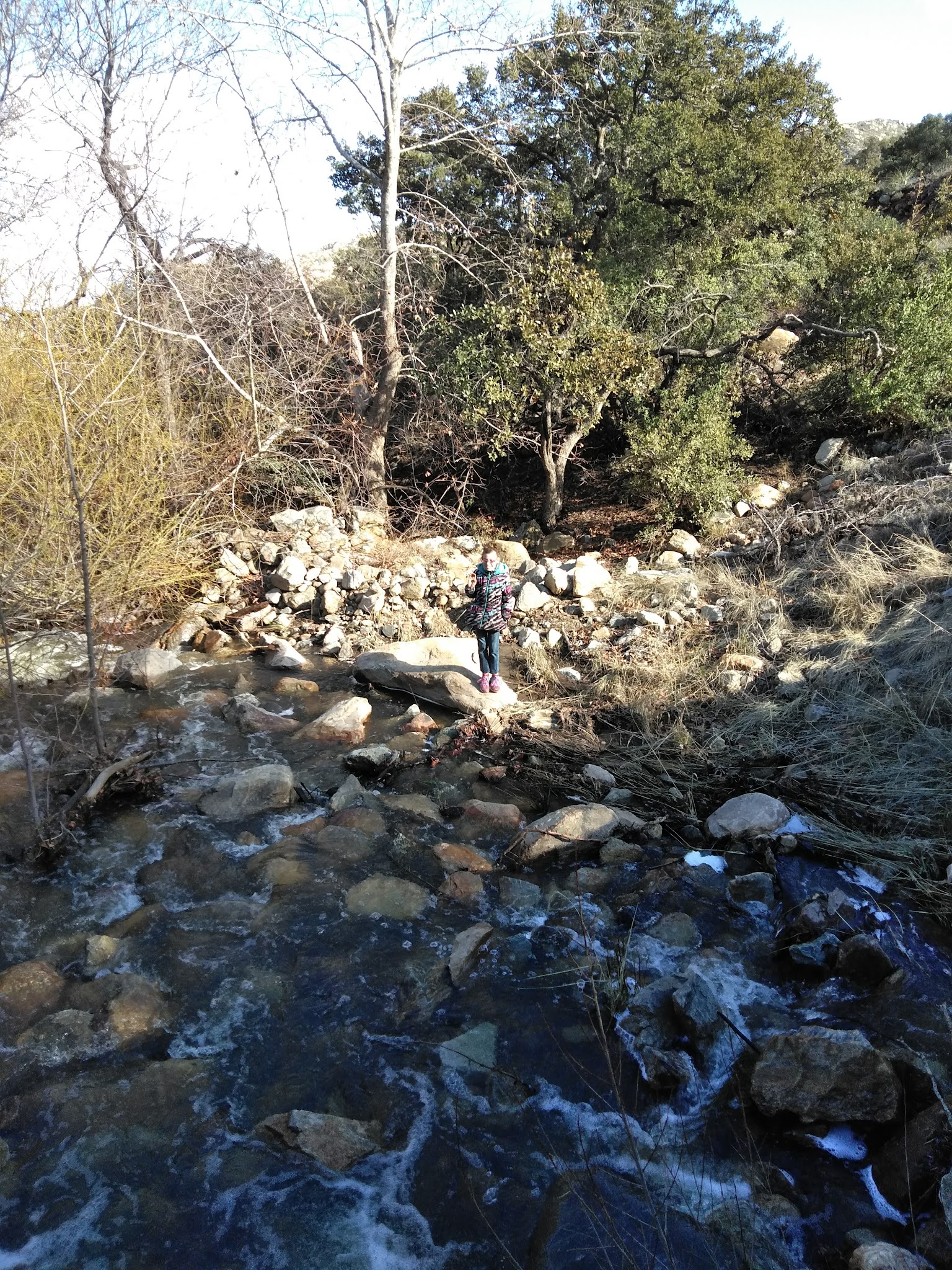 Noon Creek Campground And Picnic Area