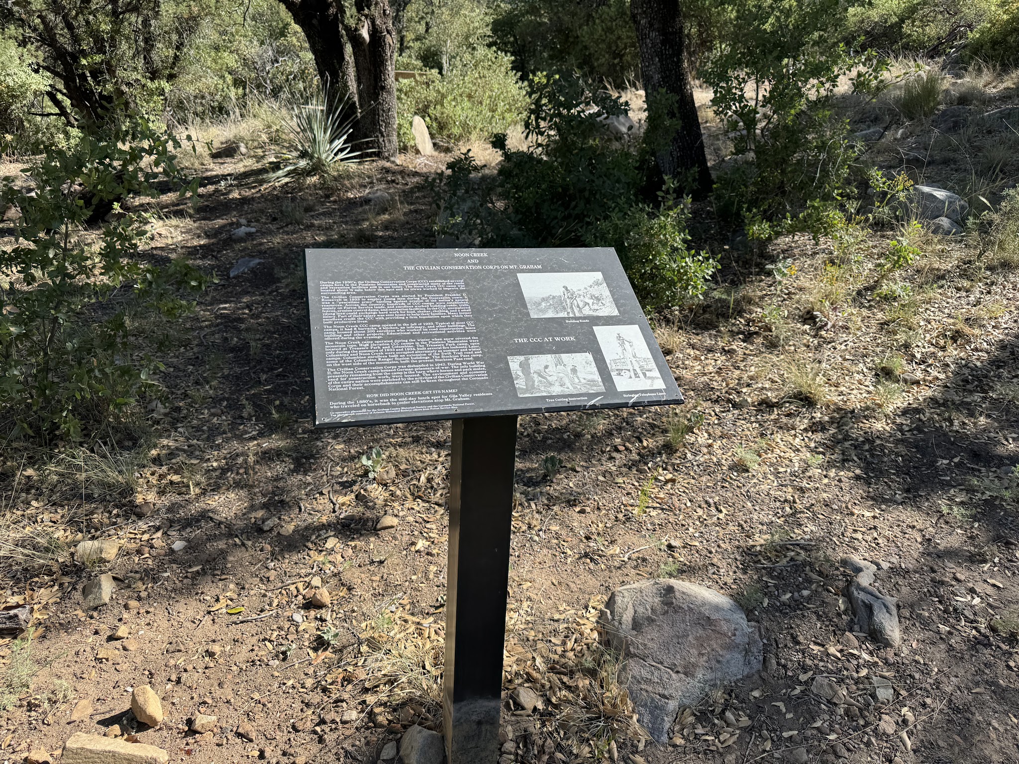 Noon Creek Campground And Picnic Area