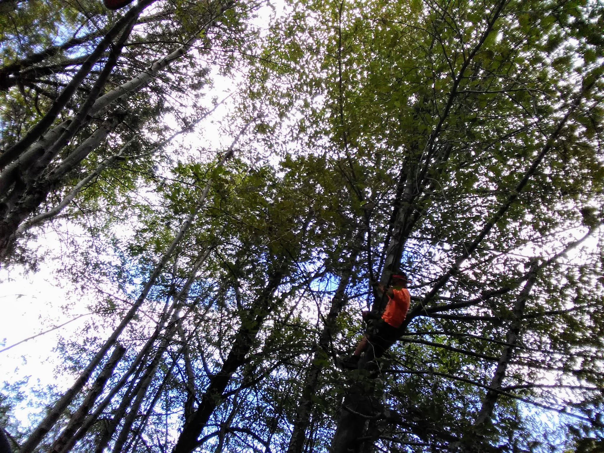 Noon Creek Campground And Picnic Area