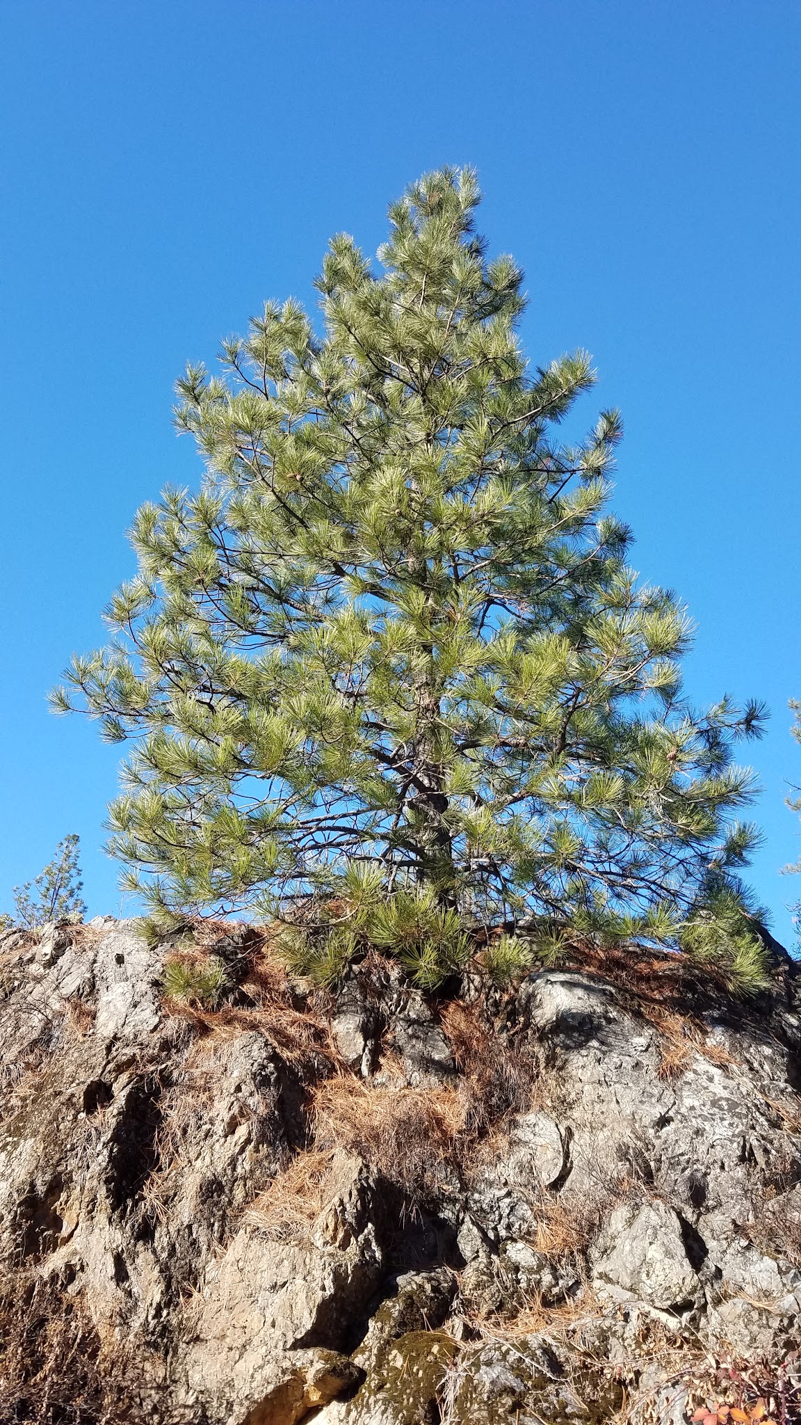 Nordheimer Group Campground