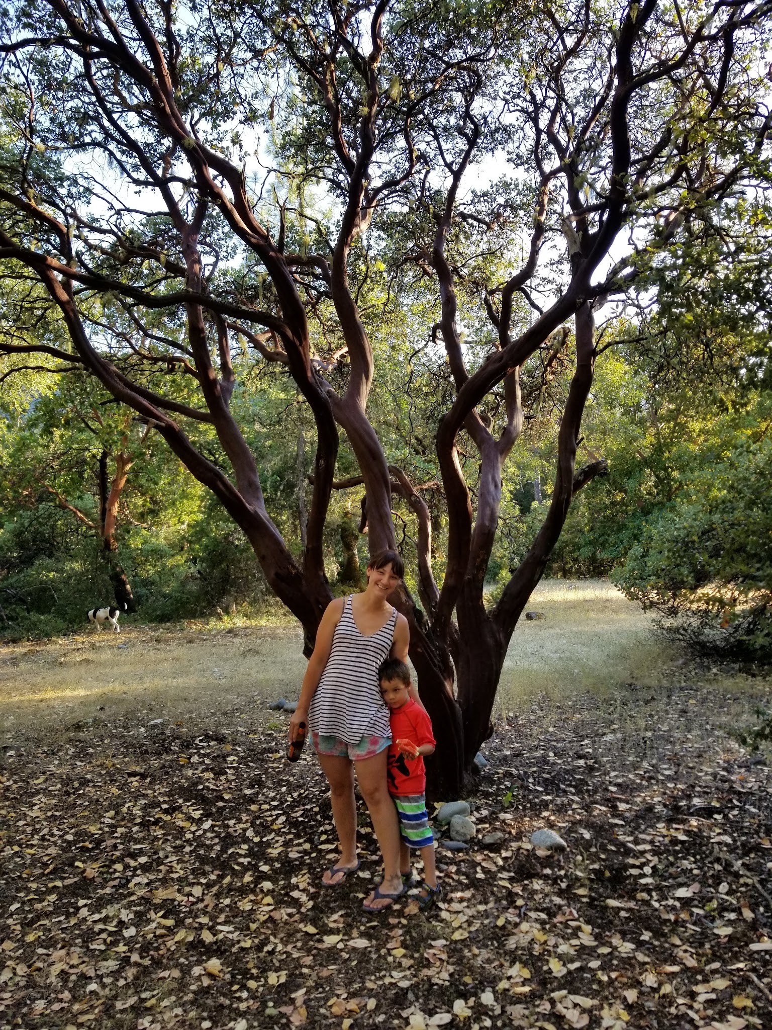 Nordheimer Group Campground