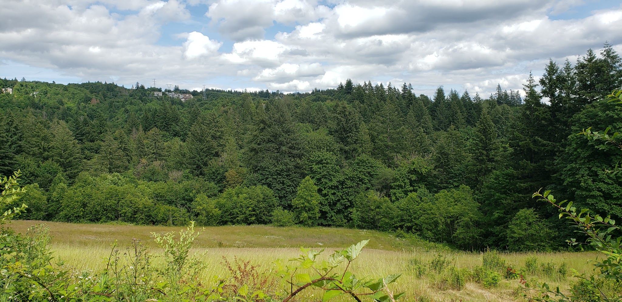 North Abbey Creek Habitat Preserve Sup Campground