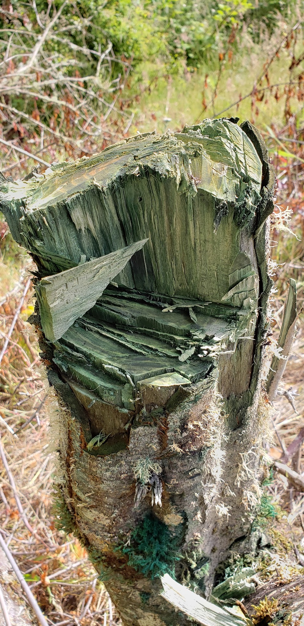 North Abbey Creek Habitat Preserve Sup Campground