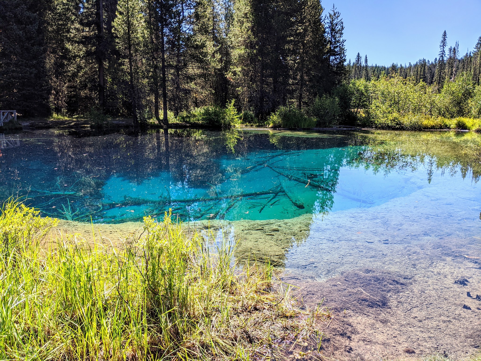 North Arm Campground (Timothy Lake, Or)