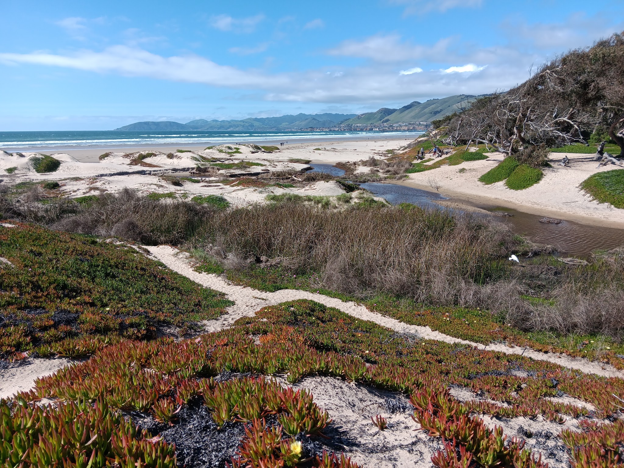 North Beach Campground