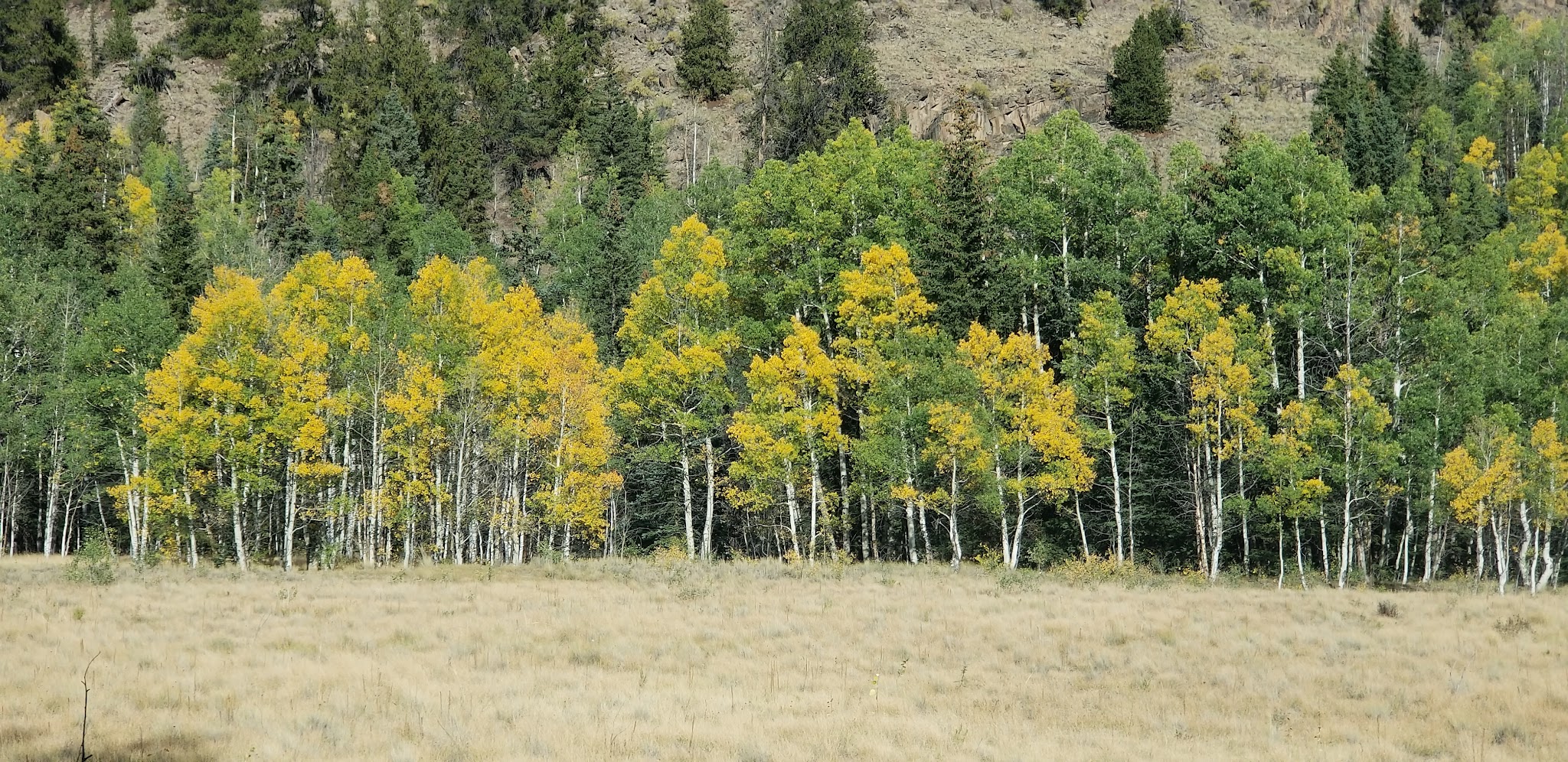 North Clear Creek Campground