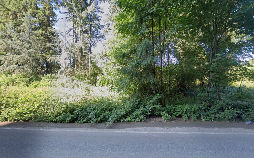 North Coffee Lake Creek Wetlands Natural Sup Campground