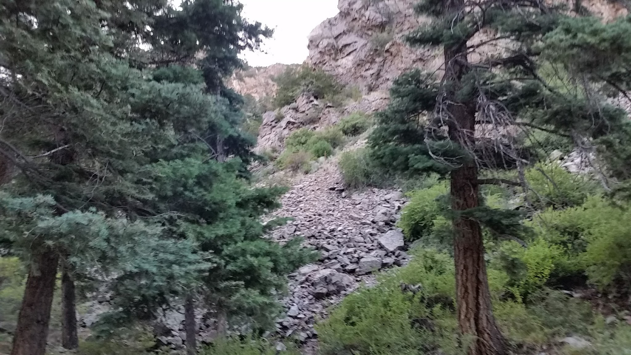 North Crestone Creek Campground