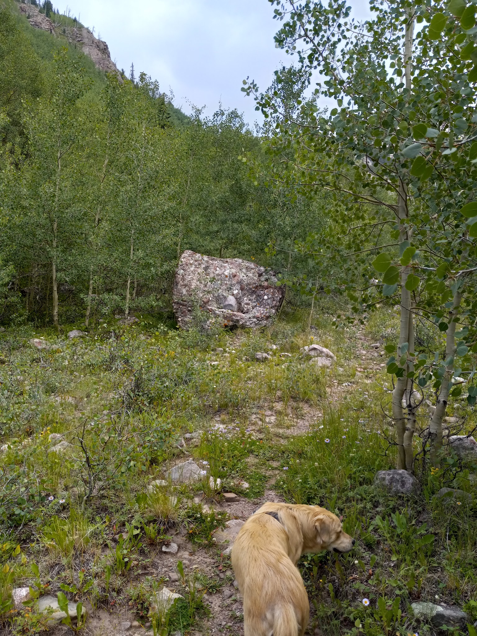 North Crestone Creek Campground