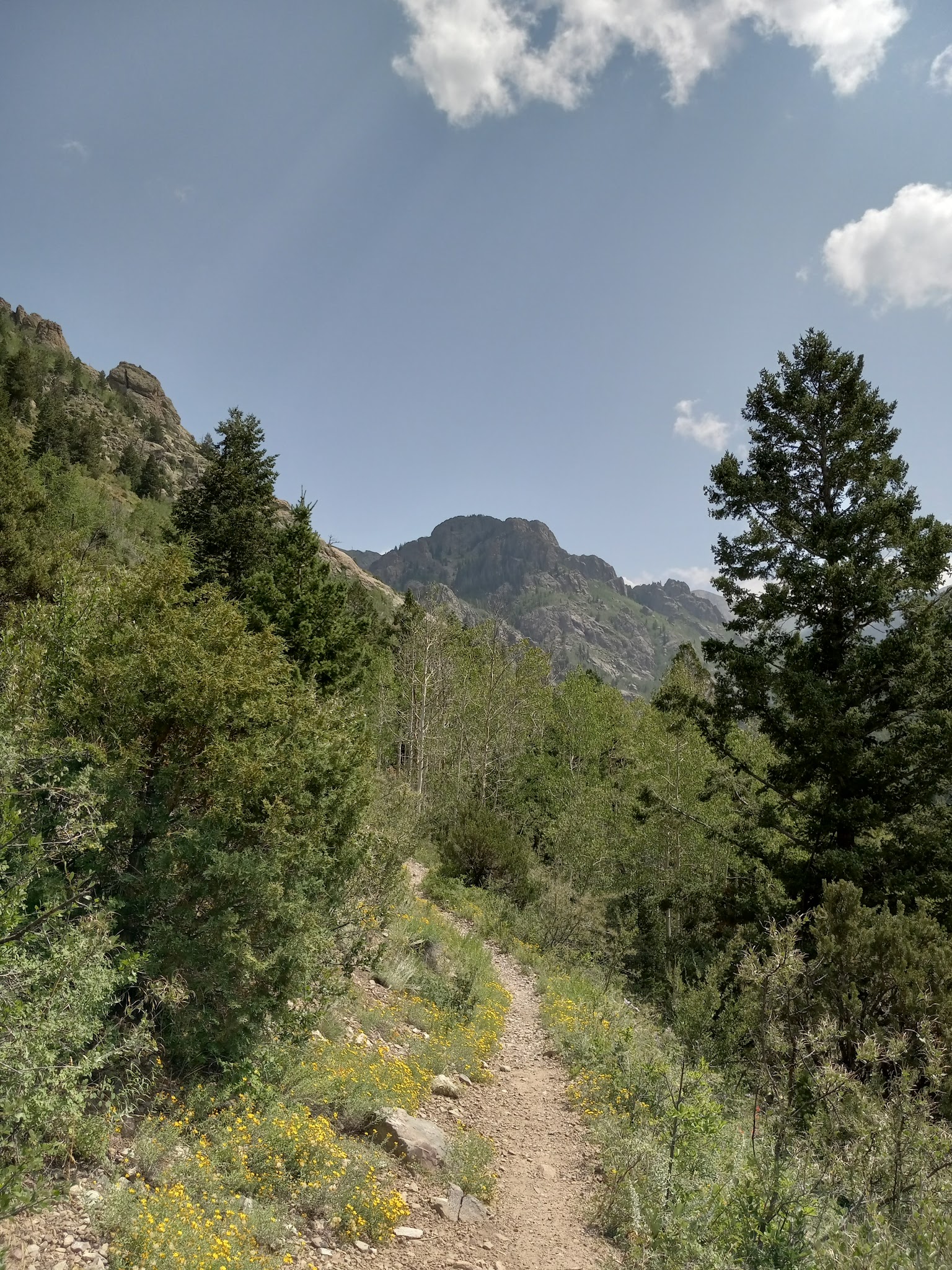 North Crestone Creek Campground