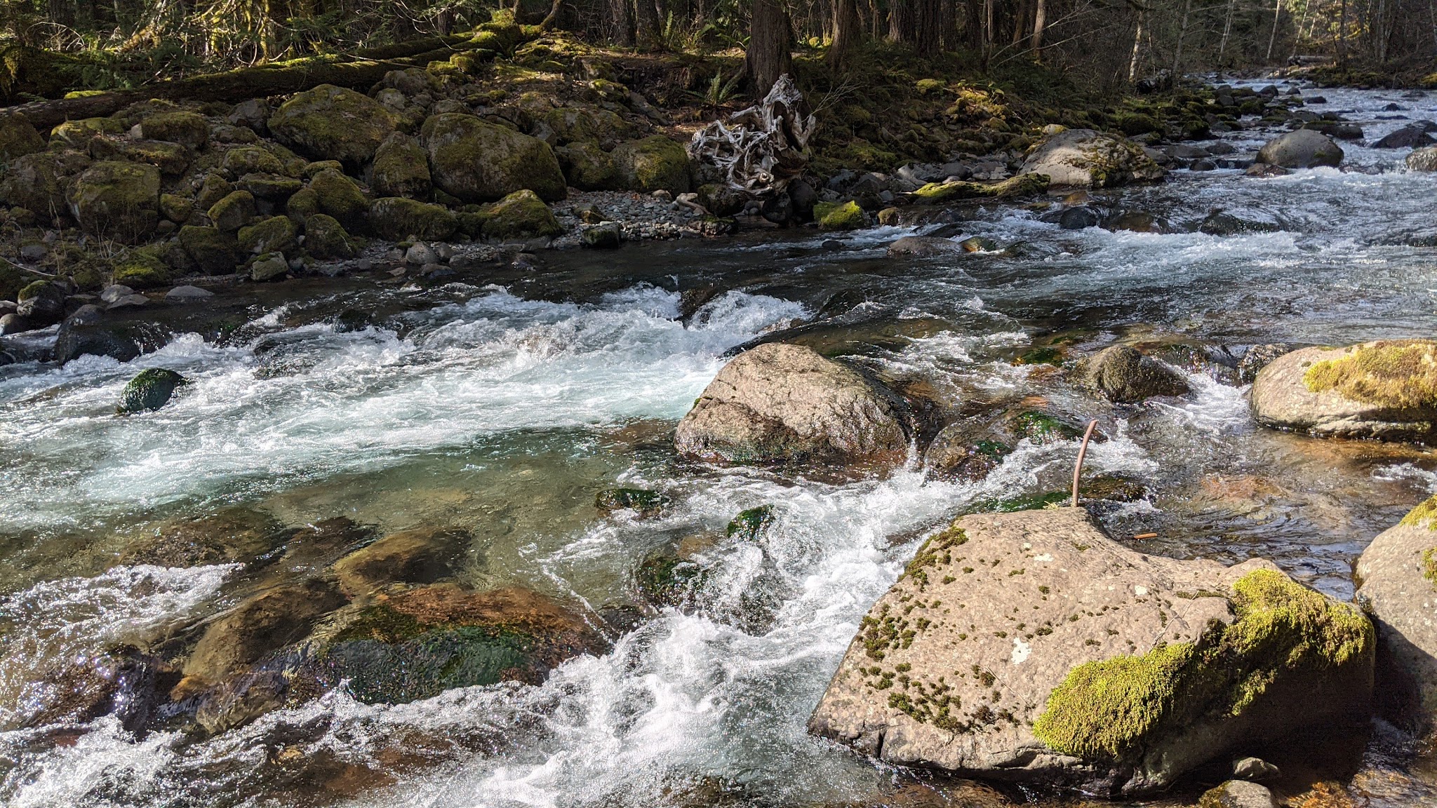 North Fork Beaver Group Camp