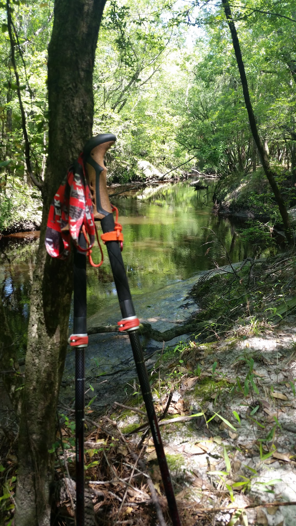 North Fork Black Creek Camp Zone Jennings State Forest
