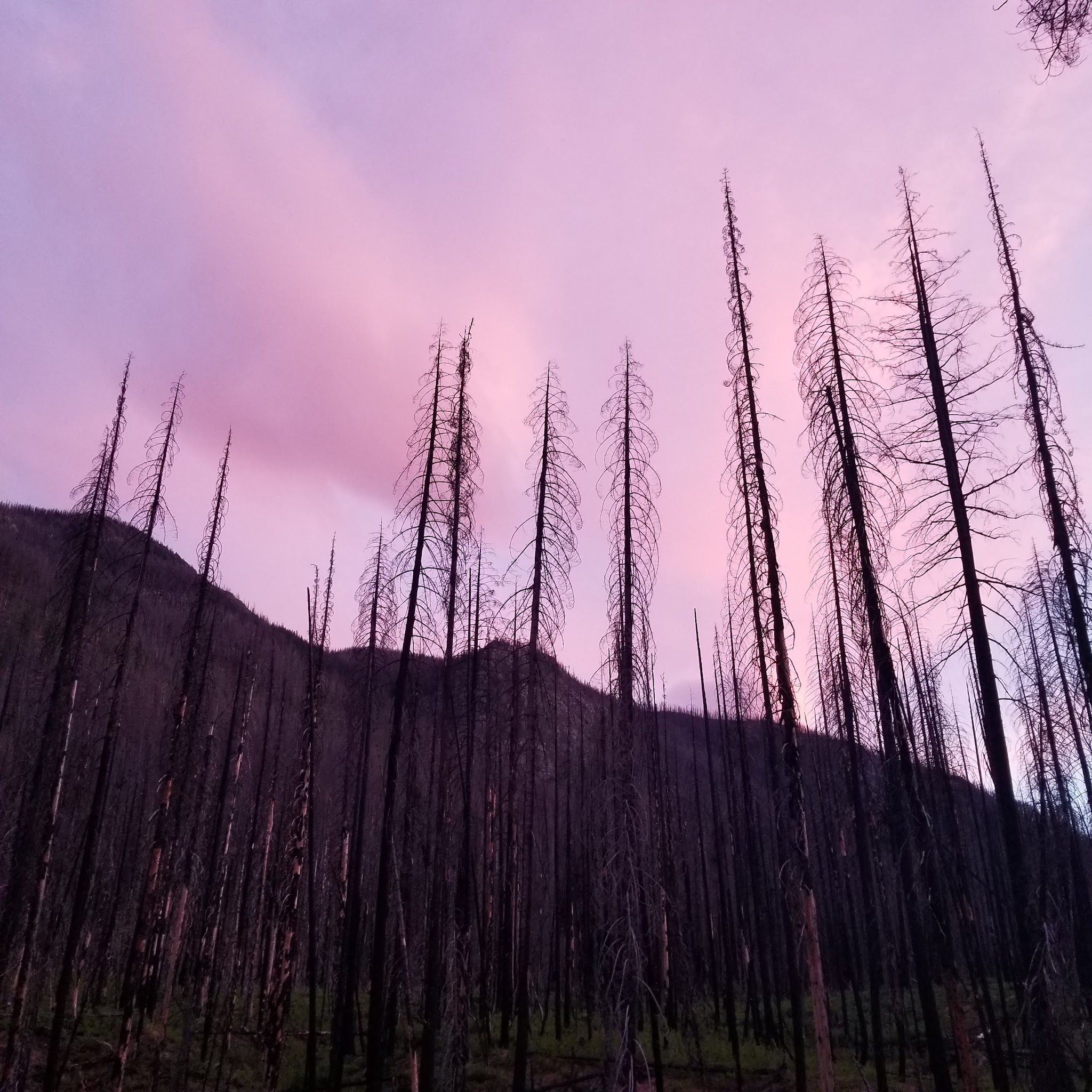 North Fork Campground