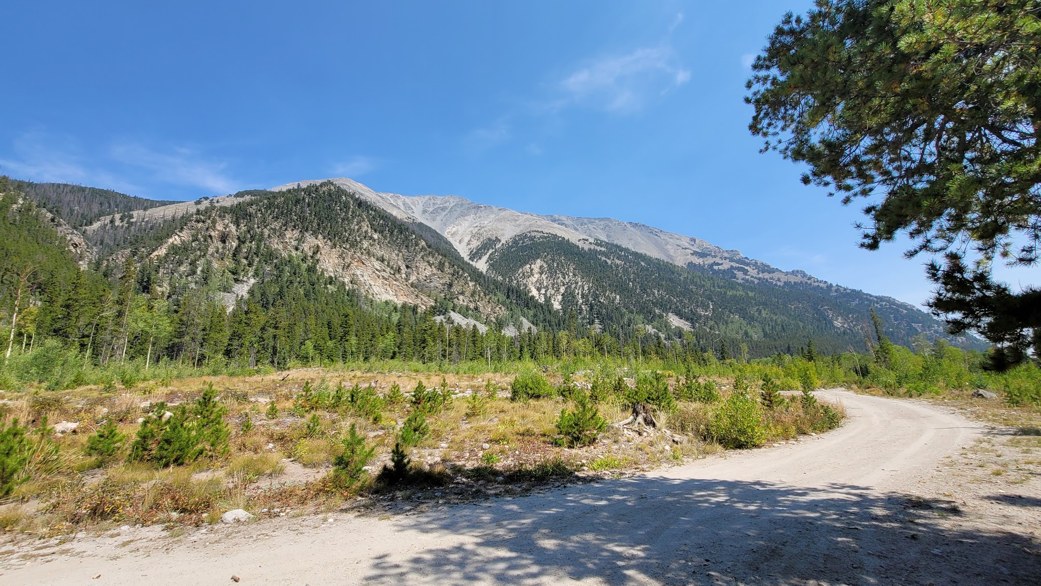 North Fork Campground (Salida, Co)